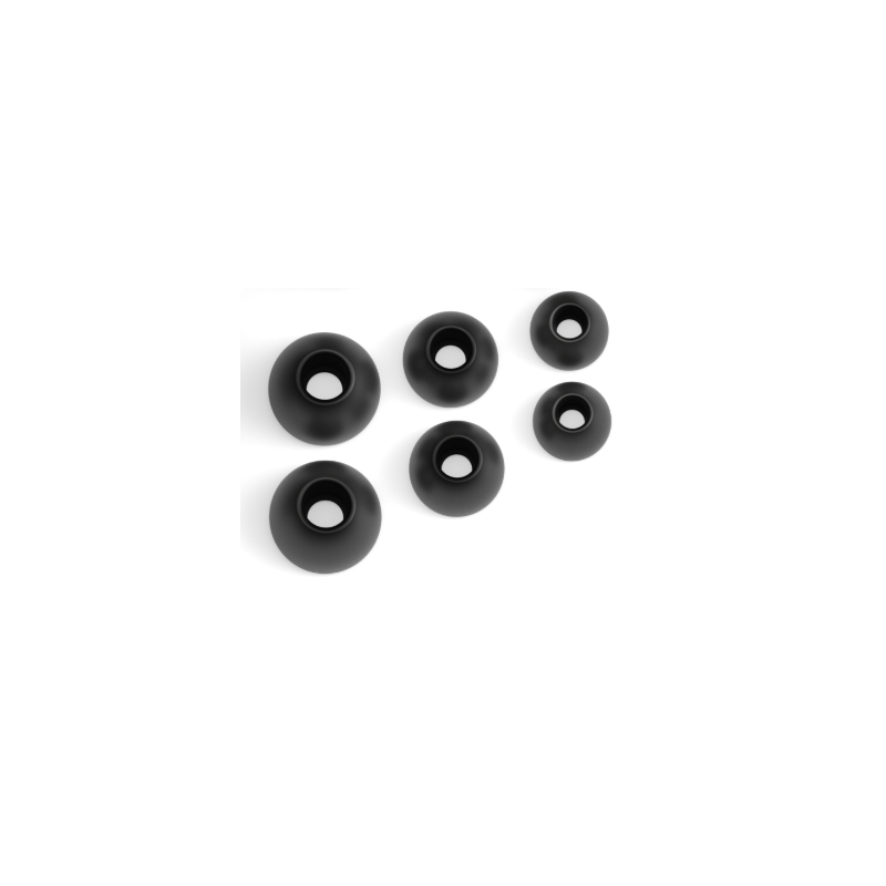 Tolv R Black eartips